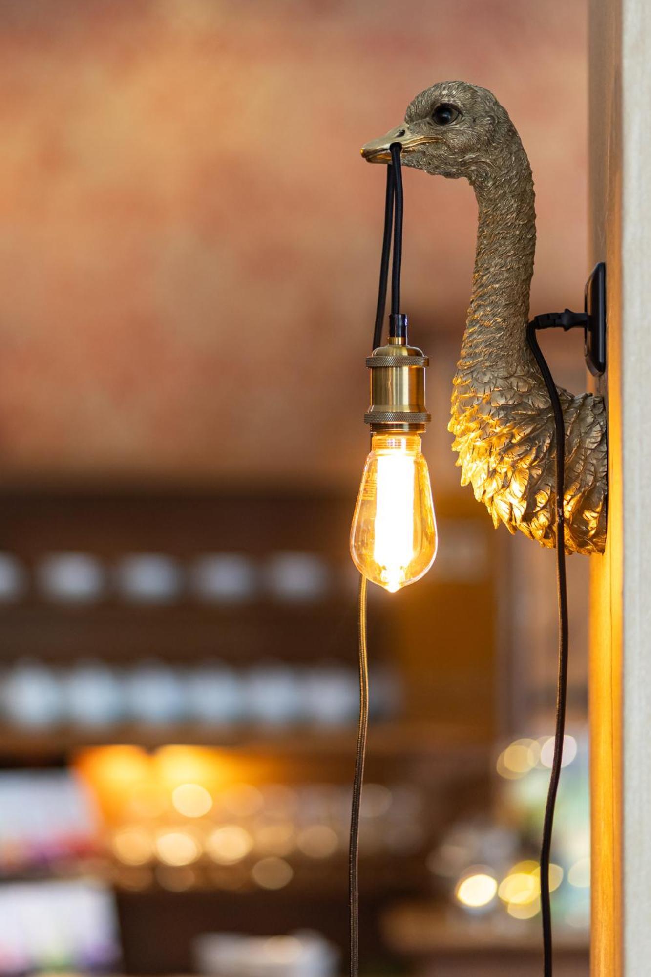 Akzent Hotel Am Goldenen Strauss 괴를리츠 외부 사진